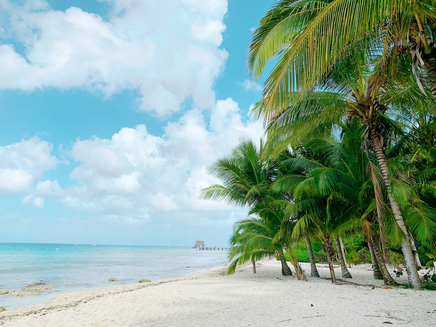 How the Climate of Curaçao Influences Your Holiday: Making the Most of Paradise